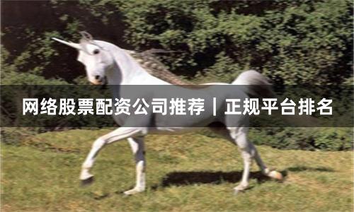 网络股票配资公司推荐｜正规平台排名