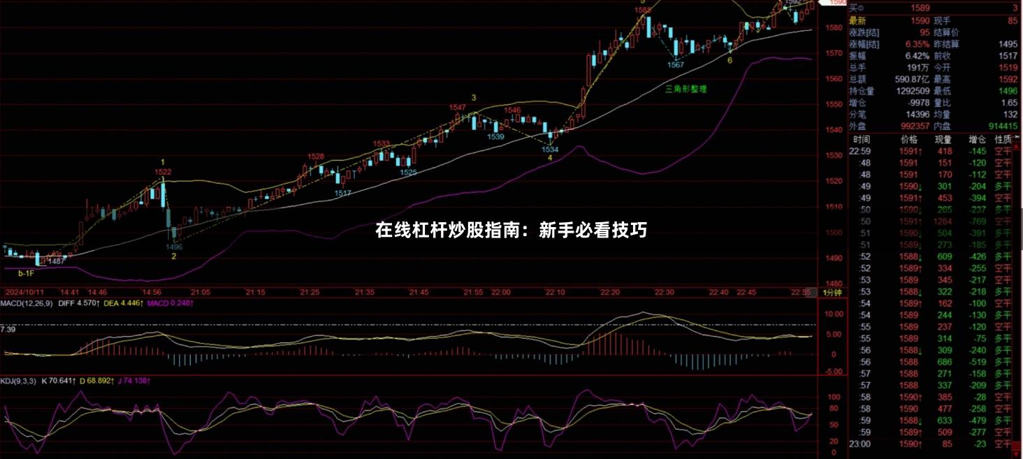 在线杠杆炒股指南：新手必看技巧
